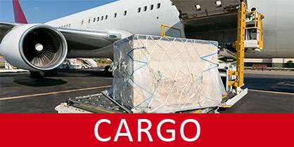 Cargo Air Flights