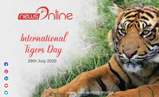 international tiger day