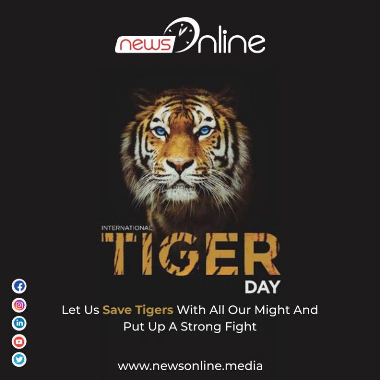 International Tiger Day 2022, Images, Quotes, Wishes, Pictures, Message