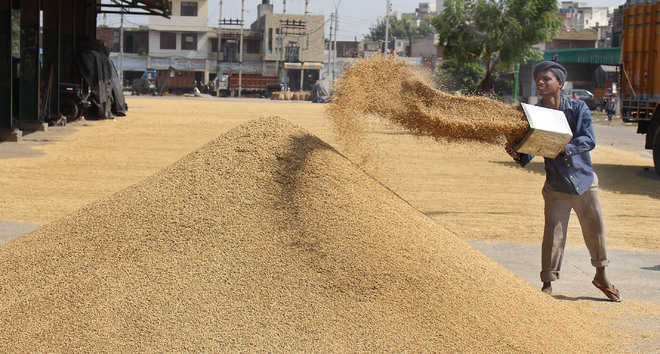Around 1,97,136 MT Paddy procured in three States of Haryana, Punjab and Uttar Pradesh in KMS 2020-21