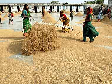 A total of 49.86 lakh tonnes of wheat has arrived in the mandis and procurement centres of Haryana