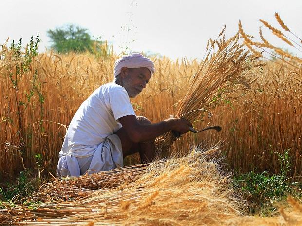 Haryana Government today has procured a total of 5.32 lakh tonnes of wheat through various procurement agencies on the Minimum Support Price.