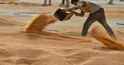 For the wheat purchased in the mandis/procurement centres of Haryana till May 5, 2021, an amount of Rs. 12,379 crore has been paid directly to the farmers' bank accounts. In addition to this, so far 9,23,006 J-forms are generated of 4,99,154 farmers.