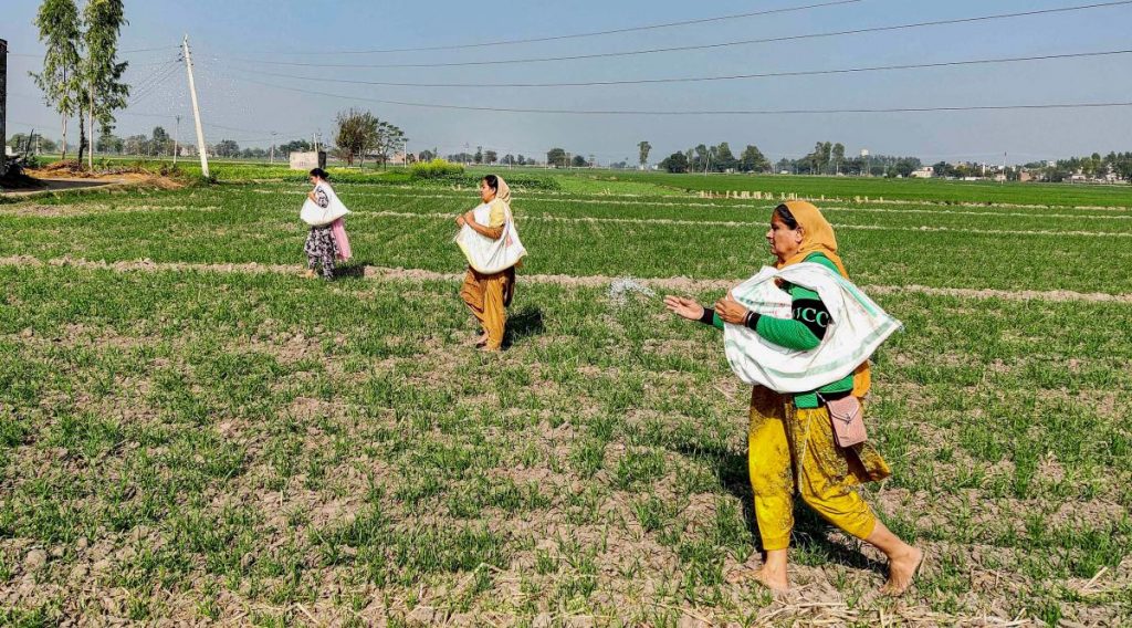 Haryana Chief Minister, Sh. Manohar Lal has directed the officers concerned to ensure