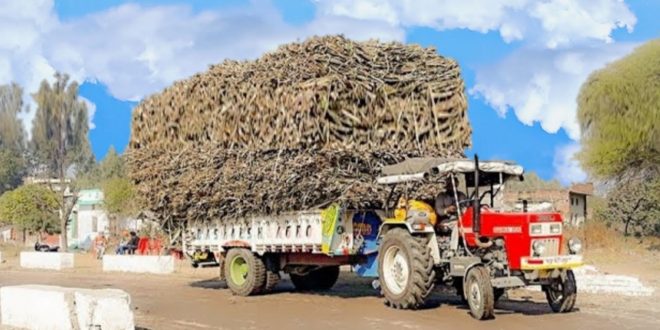 CANE GROWERS TO GET DUE PAYMENTS FROM COOPERATIVE SUGAR MILLS BY FIRST WEEK OF SEPTEMBER ALIWAL
