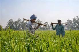 PUNJAB GOVERNMENT TO COVER 8.5 LAKH FARMING FAMILIES UNDER HEALTH INSURANCE SCHEME FOR 2021-22