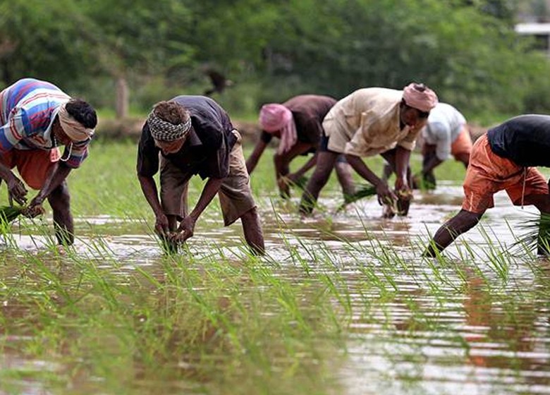 cm orders early resumption of normal paddy procurement