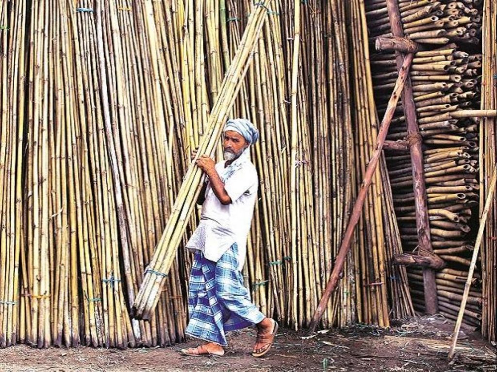 NITI Aayog to Hold National Workshop on Bamboo Development