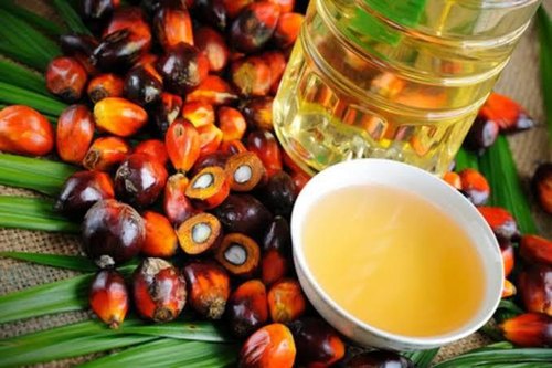 Centre reduces agri-cess for Crude Palm Oil (CPO) from 7.5% to 5% with effect from 12th February, 2022