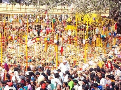 Telangana’s State Festival of Medaram Jathara with added vigour