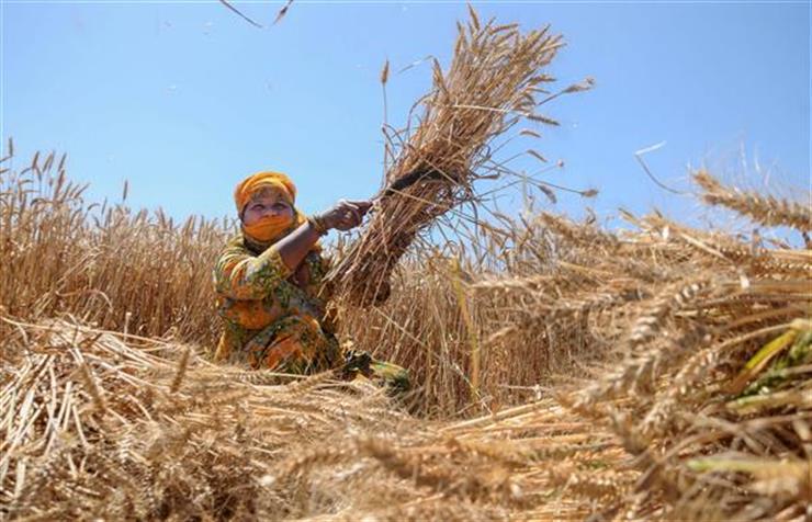 Farmers To Get More Than Rs. 2000 Crore On Saturday