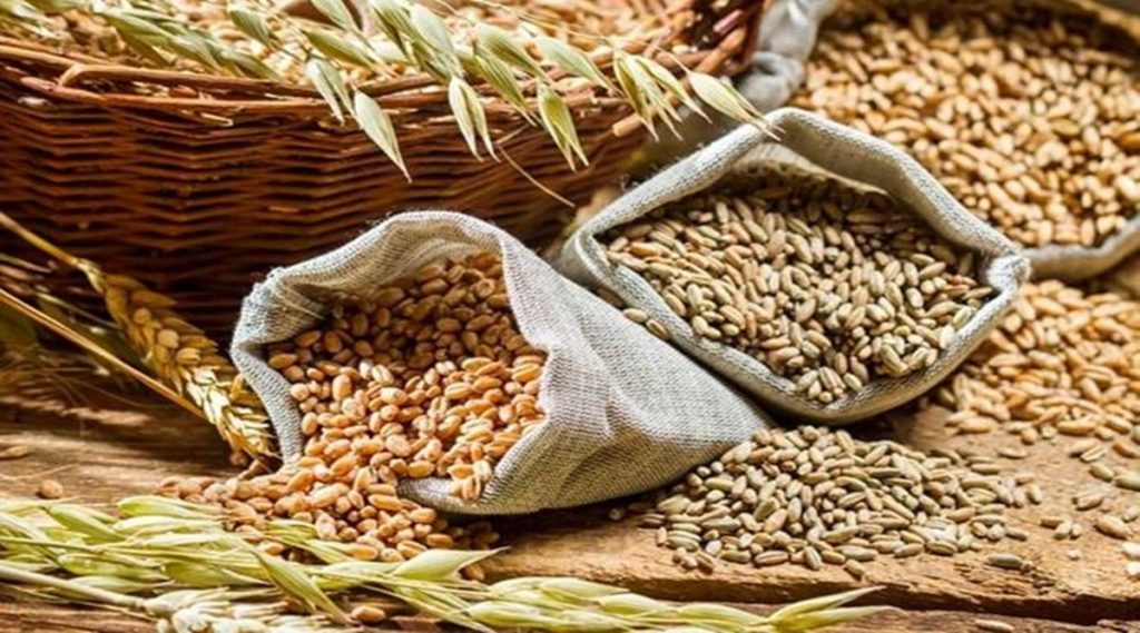 Wfp “Highly Satisfied” With Wheat Supplied To Afghanistan