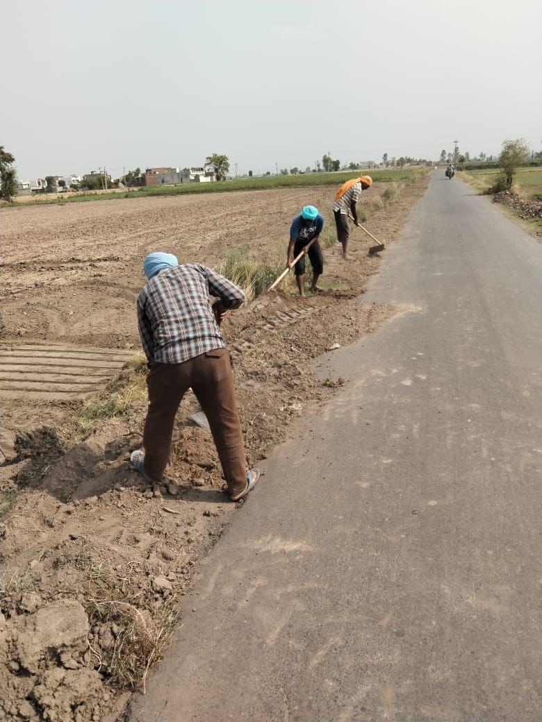 Punjab Mandi Board Launches Special Drive For Re-Construction Of Berms On Rural Link Roads
