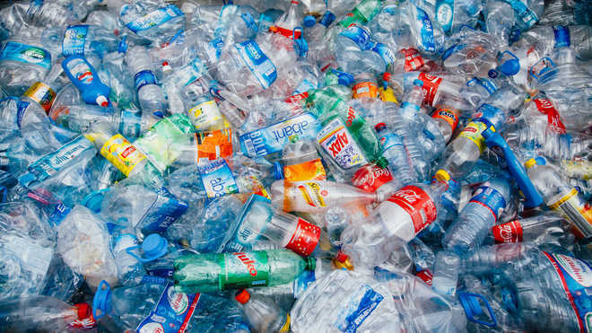 Haryana government has also banned single use plastic in the state from July 1, 2022.