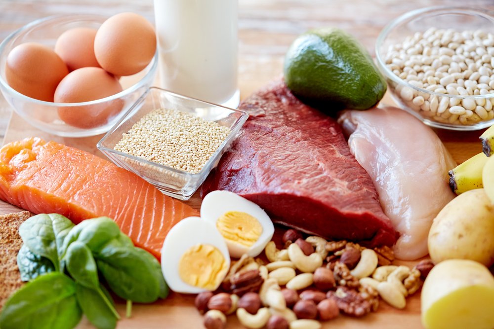 Proteins: The building blocks of your life