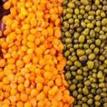 Centre takes timely measures for enhancing production of pulses and oilseeds through distribution Seed Minikits of Pulses and Oilseeds for Rabi 2022-23