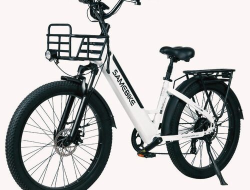 पर्यावरण संरक्षण,स्वास्थ्य & जाम से मुक्ति दिलाएगी ई -साइकिल |