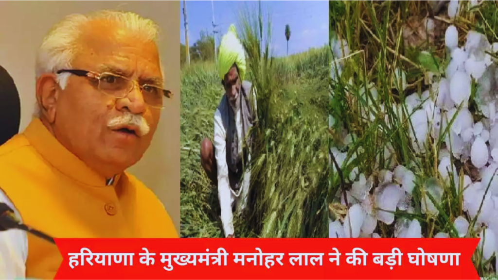 प्रदेश में ओलावृष्टि से फसलों में हुए नुकसान की स्पेशल गिरदावरी करवाई जाएगी - मुख्यमंत्री श्री मनोहर लाल |